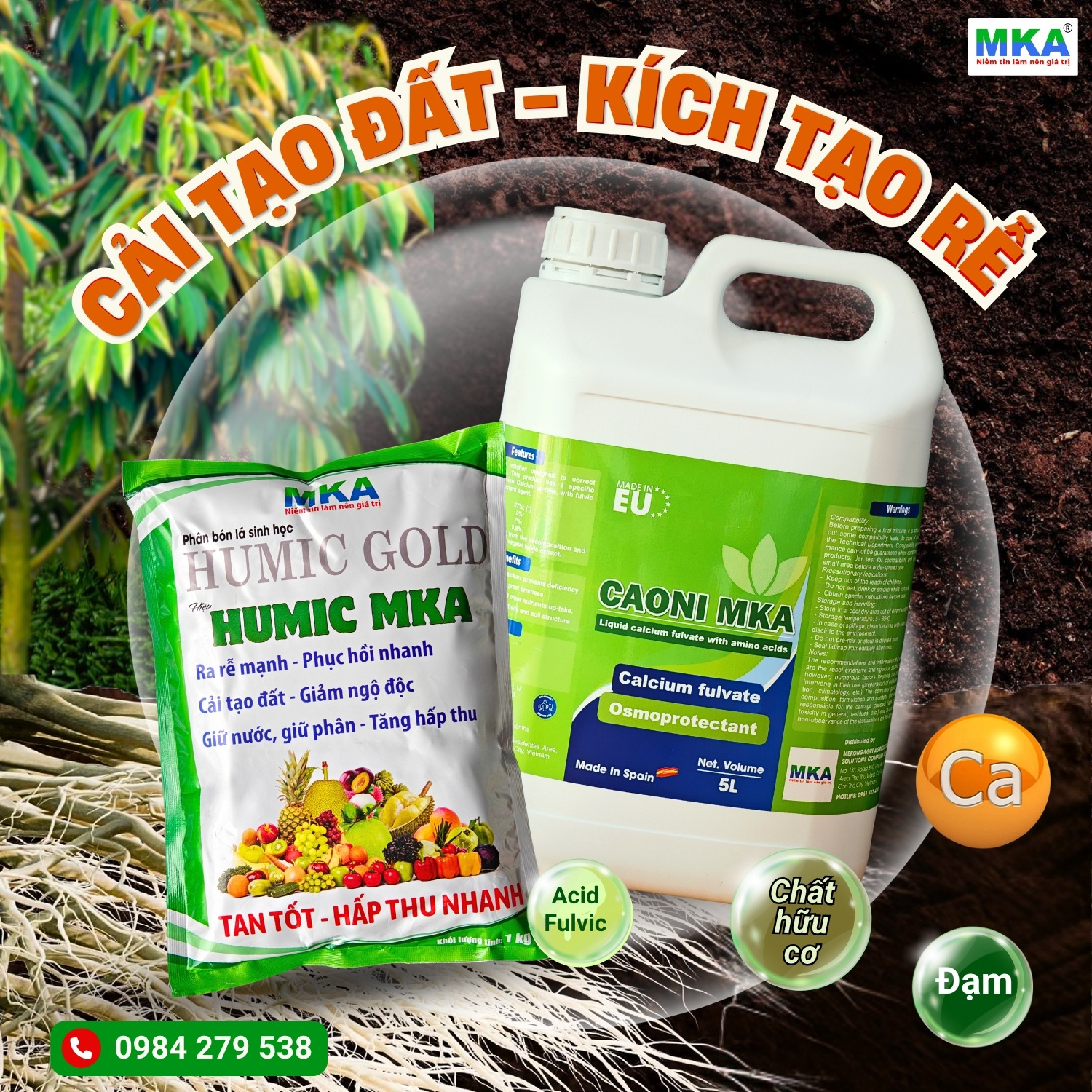 Phân bón Humic và Caoni kích rễ sầu riêng, cải tạo đất